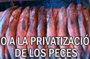 peces