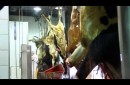 Mataderos, el último eslabón del holocausto animal