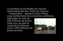 Ley de Pesca: Los Semiindustriales que se disfrazan de artesanales
