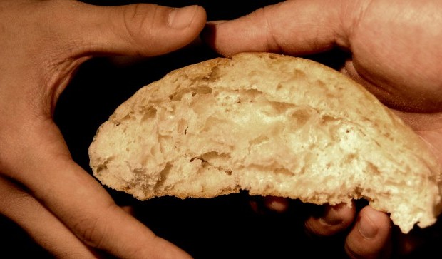 Derechos humanos y compartir cultura. Conclusiones lógicas.