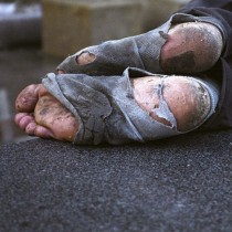 Pies-homeless