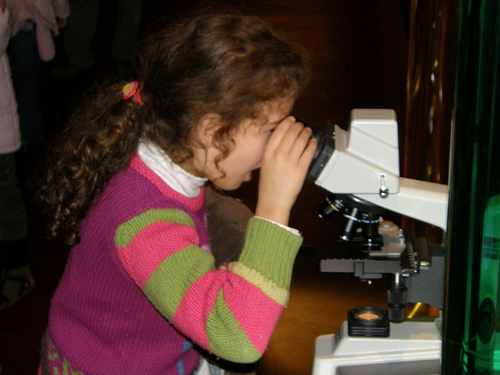 img-284932