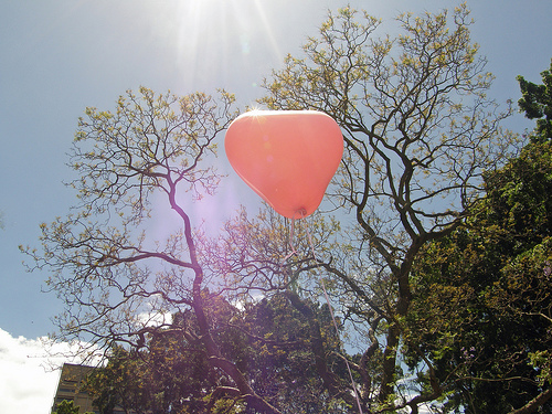 img-686515