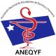 Aneqyf Chile
