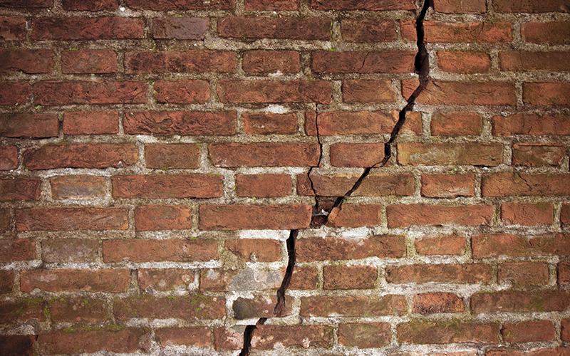 Pared Inutil El Quinto Poder